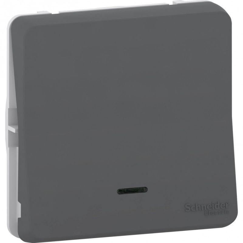 Выключатель кнопочный Mureva Styl IP55 с подсветкой механизм антрацит SchE MUR35127