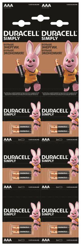 Элемент питания алкалиновый AAA/LR03 LR03-2BL Basic 2х6 (блист.12шт) Duracell Б0046680