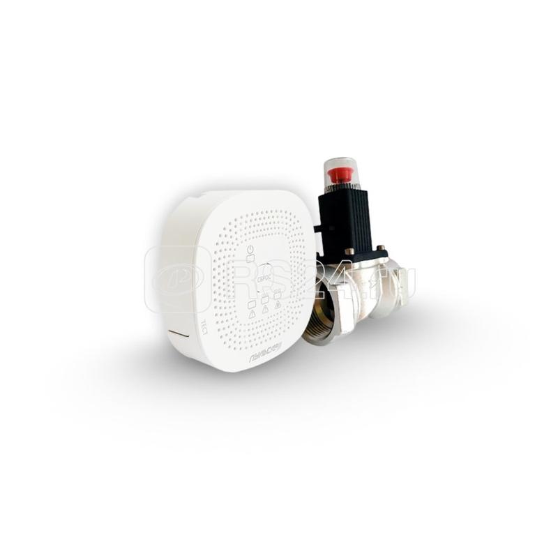 Сигнализатор загазованности Р CH клапан электромагнитный газовый Ду20 источник питания в комплекте Пульсар Р00073982