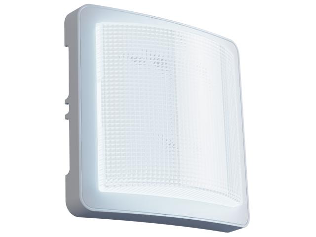 Светильник светодиодный "Эконом-ЖКХ" LED 6Вт 5000К IP20 с оптико-акустич. датчиком Аргос 200.06.2.20.-1.5.1