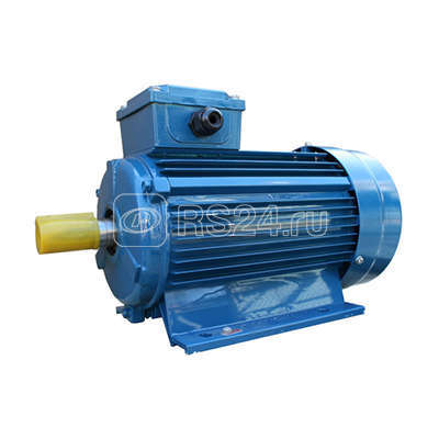 Электродвигатель 5АИ 90 L2 3/3000 IM 1081 Элком 01.01.213461