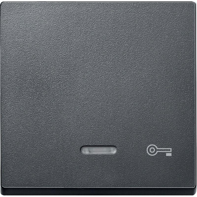 Клавиша Merten с свет. индик. "Дверь" SchE MTN430714