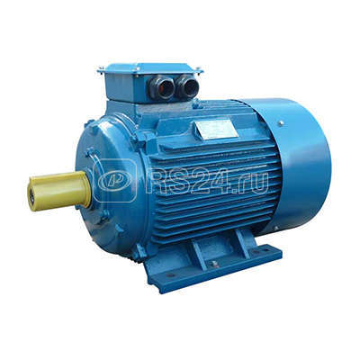 Электродвигатель 5АИ 250 М4 90/1500 IM1001 Элком 01.01.213754