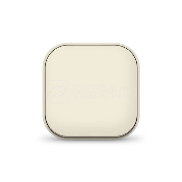 Выключатель 1-кл. 1п ОП 10А IP20 сл. кость IONICH 1423