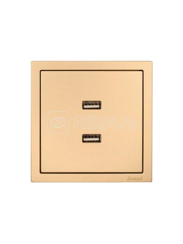 Розетка 2-мест. USB разъем СП ZIMA IP20 зол. LEZARD 704-3688-192