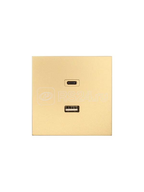 Розетка Type-C+ USB разъем СП ZIMA IP20 зол. LEZARD 704-3688-192TC