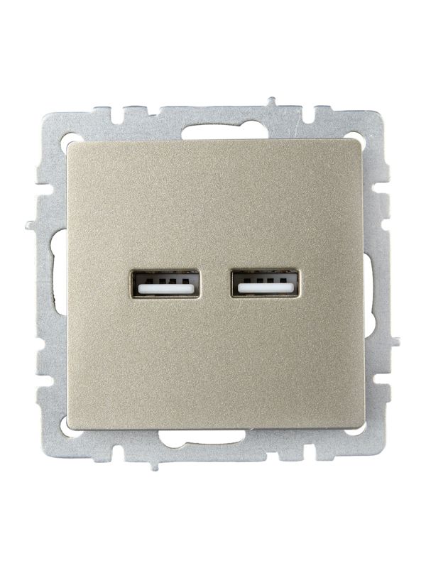 Розетка BRITE USB A+A 3.1А РЮ10-1-БрШ механизм шампань IEK BR-U21-D31-K37