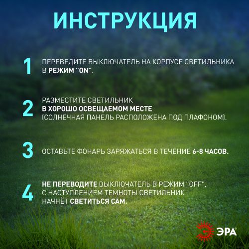 Светильник садовый Камыши высота 60см 5LED на солнечной батарее (уп.5шт) Эра Б0062359