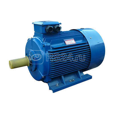 Электродвигатель 5АИ 280 М4 132/1500 IM1001 Элком 01.01.213766