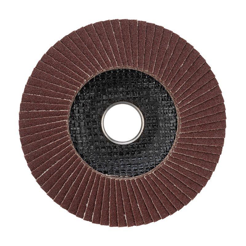 Круг лепестковый торцевой P 100 125х22.2мм Rexant 90-0016