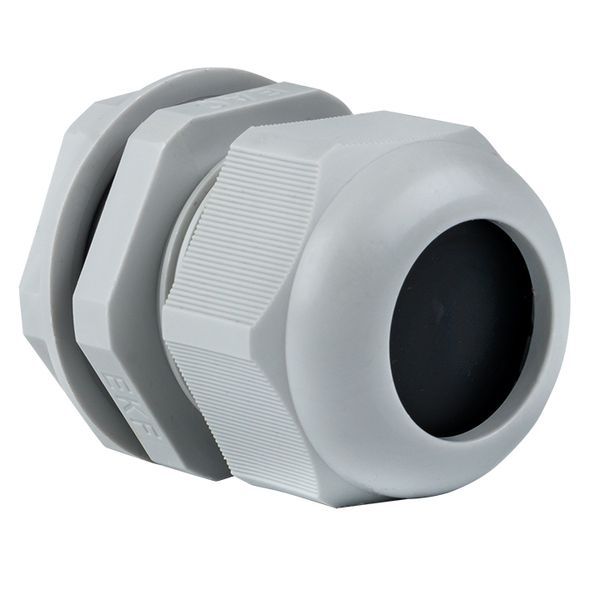 Сальник PG29 d18-25мм (d отверст. 36мм) IP54 PROxima EKF plc-pg-29-r