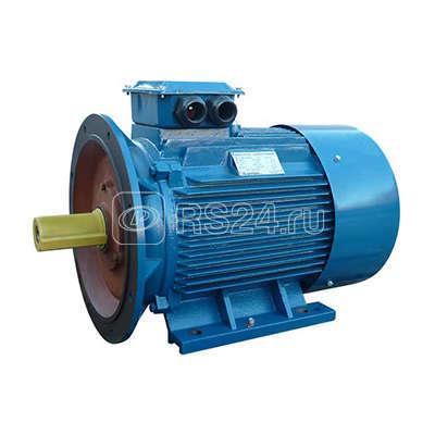 Электродвигатель 5АИ 250 S6 45/1000 IM 2001 Элком 01.01.213757