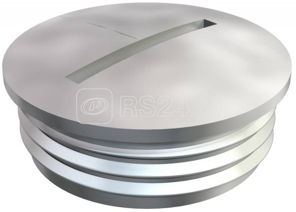 Заглушка латунь 168 MS PG13 OBO 2090139