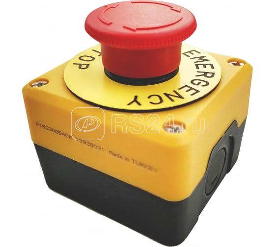 Пульт управления с табличкой аварийной кнопки (1НО) EMAS P1EC300E40K