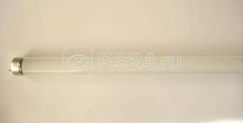 Лампа люминесцентная FL 36W/765 36Вт T8 6500К G13 Лисма