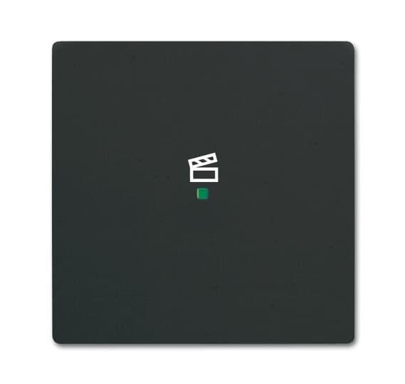 Компонент скрытого монтажа rocker 1gang scene ABB 2CKA006220A0621