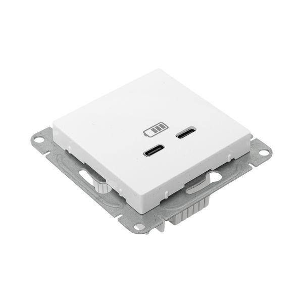 Розетка 2-м СП Эпика USB-C механизм бел. EKF UP1-SOW-2USBC
