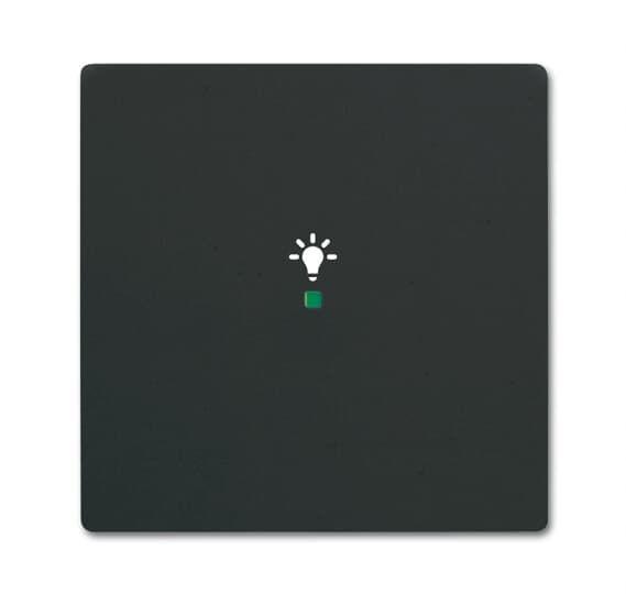 Компонент скрытого монтажа rocker 1gang lighting ABB 2CKA006220A0619