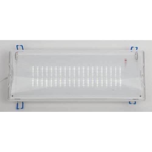 Светильник светодиодный DPA-301-0-65 40LED 3ч IP65 аварийный непостоянный Эра Б0044405