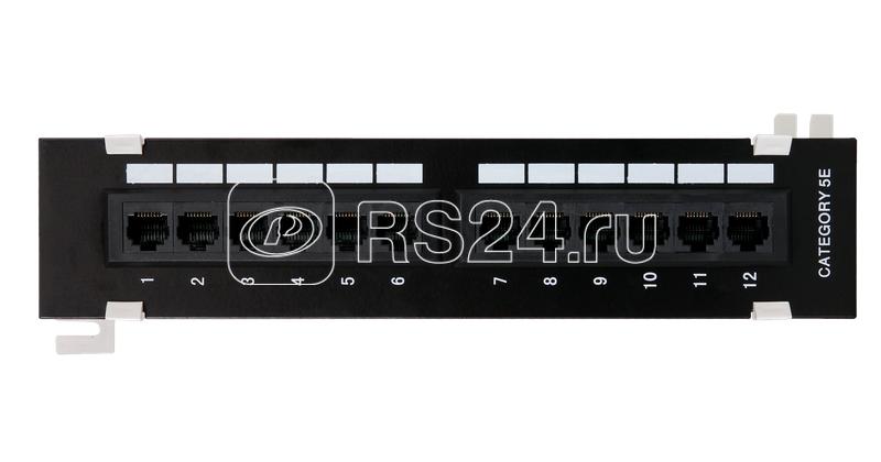 Панель коммутационная настенная кат.5E (класс D) неэкранир. 12 портов 100МГц RJ45 (8P8C) 110 T568A/B черн. NETLAN EC-UWP-12-UD2