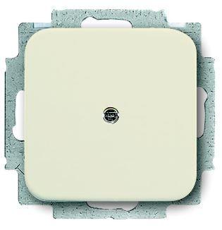 Заглушка Busch-Duro с суппортом 2000 SI сл. кость ABB 2CKA001715A0318