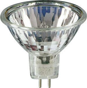 Лампа галогенная Brill Pro 50W GU5.3 12V 36D Philips 871150042516460
