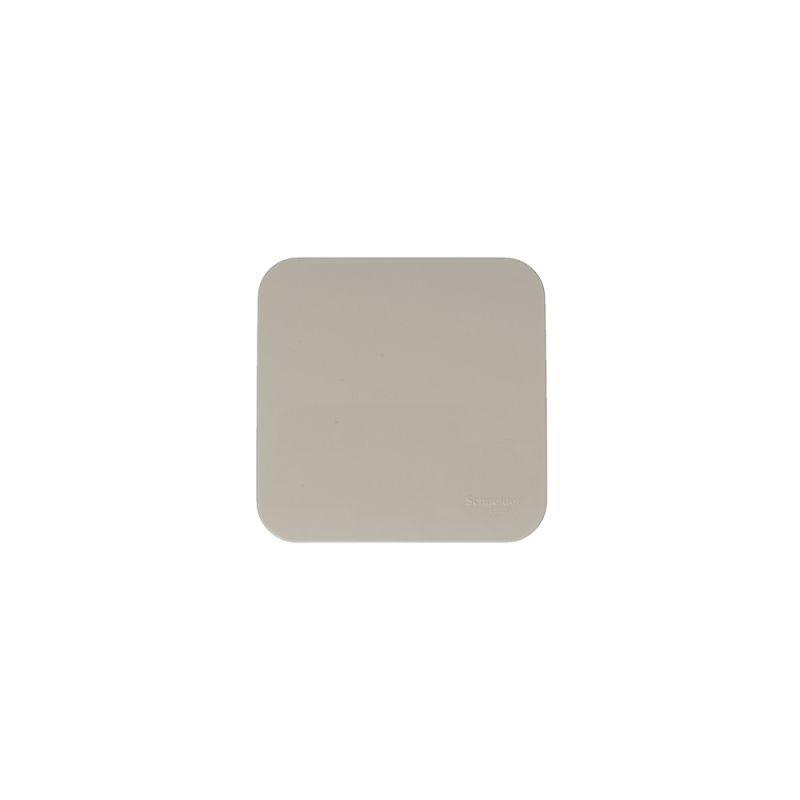 Выключатель 1-кл. ОП Blanca 10А IP20 (сх. 1) 250В с изолир. пластиной беж. SE BLNVA101017