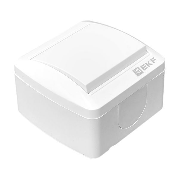 Выключатель ОП Владивосток 10А IP54 бел. PROxima EKF EQR16-021-30-54