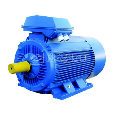 Электродвигатель 5АИ 355 М8 160/750 IM 1001 Элком 01.01.213563