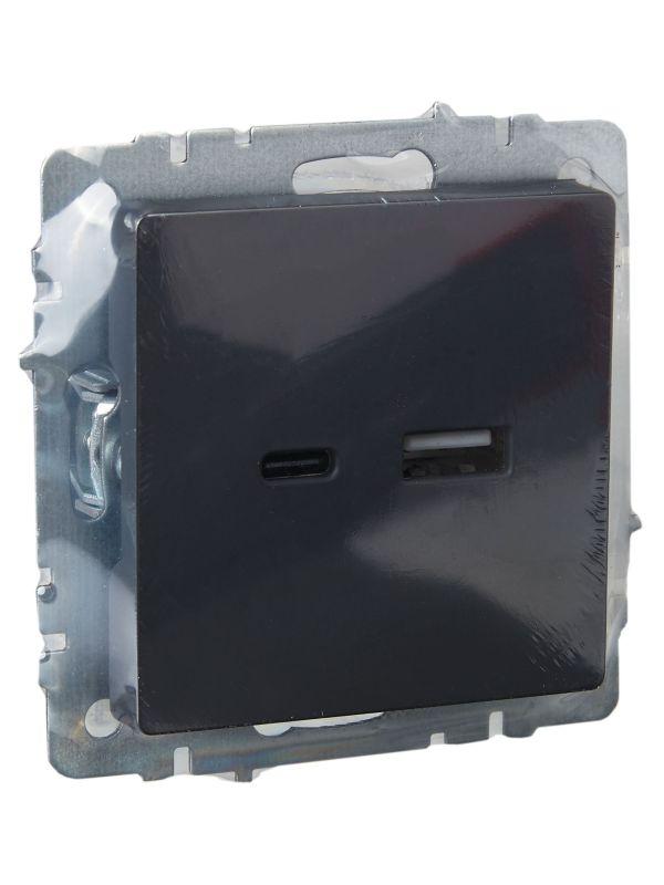 Розетка BRITE USB A+C 18Вт РЮ11-1-БрГ механизм графит IEK BR-U22-018-K53