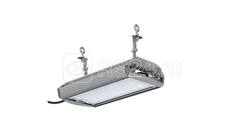 Светильник светодиодный ДСП 50 750 Д ЕСАУЛ IP66/67 промышлен. Технологии света УТ000020655