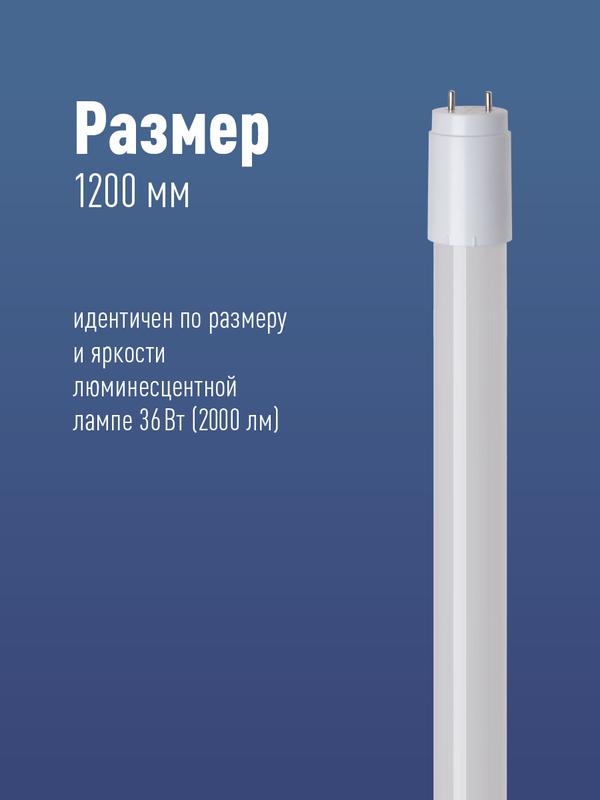 Лампа светодиодная 20Вт T8 линейная 4000К нейтр. бел. G13 220В 1200мм glass КОСМОС Lksm_LED20wG13T840GL
