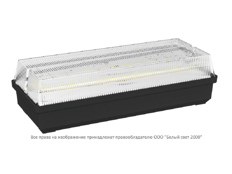 Светильник аварийный BS-UNIVERSAL-10-L2-BSE5 5000К Black Белый свет a32296