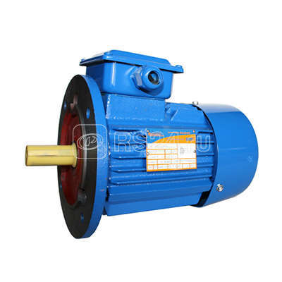 Электродвигатель 5АИ 80 А8 0.37/750 IM 3081 Элком 01.01.213715