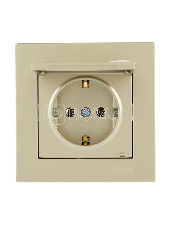 Розетка 1-м СП Vesna с заземл. с крышкой ПБТ механизм титан LEZARD 742-3788-123B