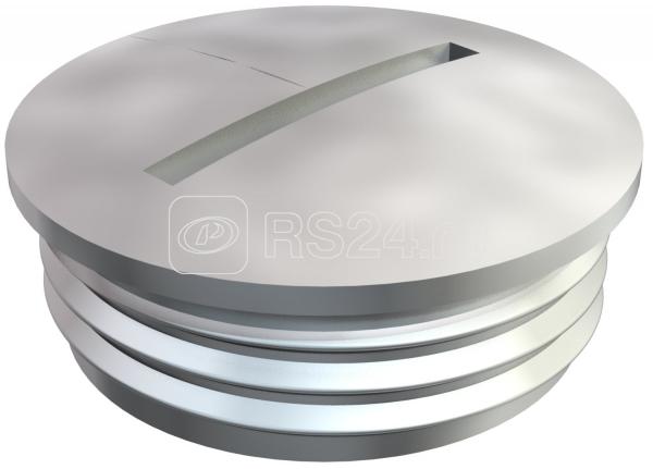 Заглушка латунь 168 MS PG48 OBO 2090481