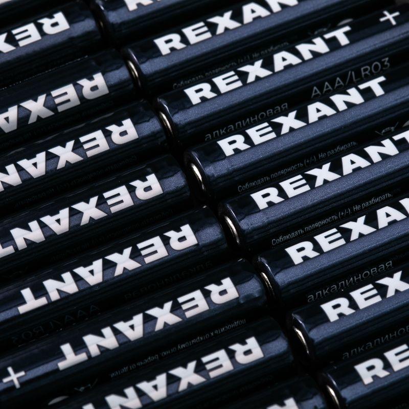 Элемент питания алкалиновый AAA/LR03 1.5В (блист.4шт) Rexant 39-1012