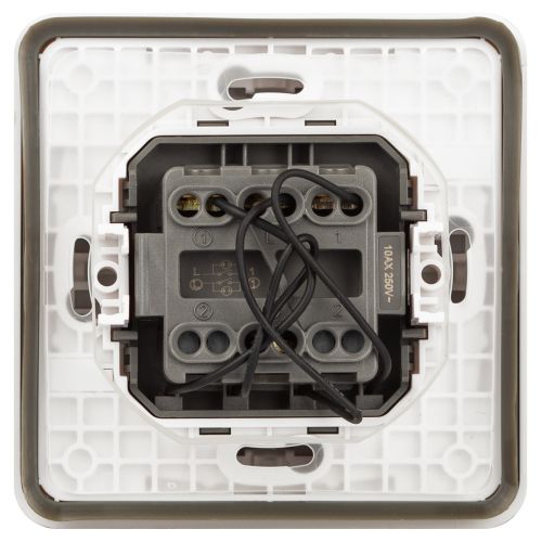 Выключатель Эксперт 11-1525-01 двойн. с подсветкой IP55 10АХ-250В СУ бел. Эра Б0063304