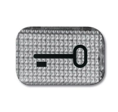 Линза с символом "Ключ" Reflex SI альп. бел. ABB 2CKA001433A0044