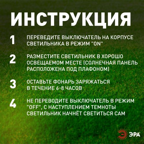 Светильник садовый Камыши высота 60см 5LED на солнечной батарее (уп.5шт) Эра Б0062359