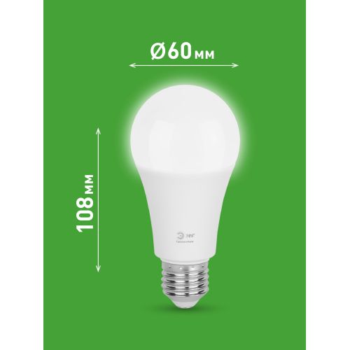 Лампа светодиодная GREEN LINE A60-25W-840-E27 GL 25Вт груша 4000К яркий свет бел. E27 Эра Б0067117