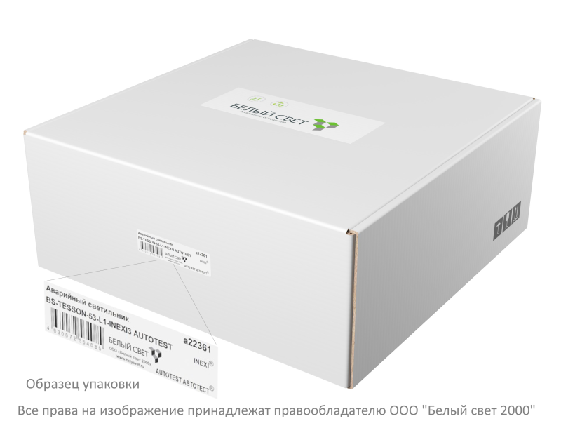 Светильник аварийный BS-TESSON-10-L2-24 4000К Белый свет a27786