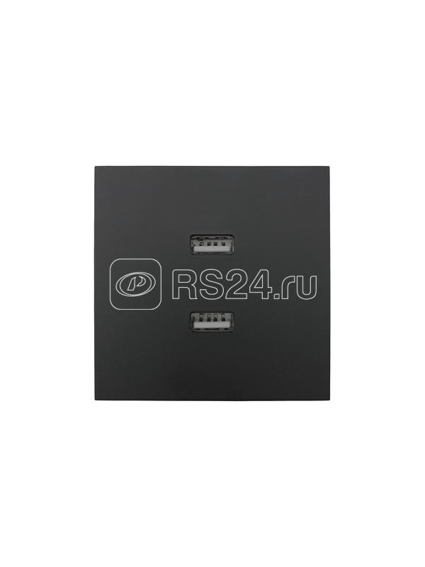 Розетка 1-мест. с 2-мест. USB разъем СП ZIMA IP20 черн. бархат LEZARD 704-4288-192