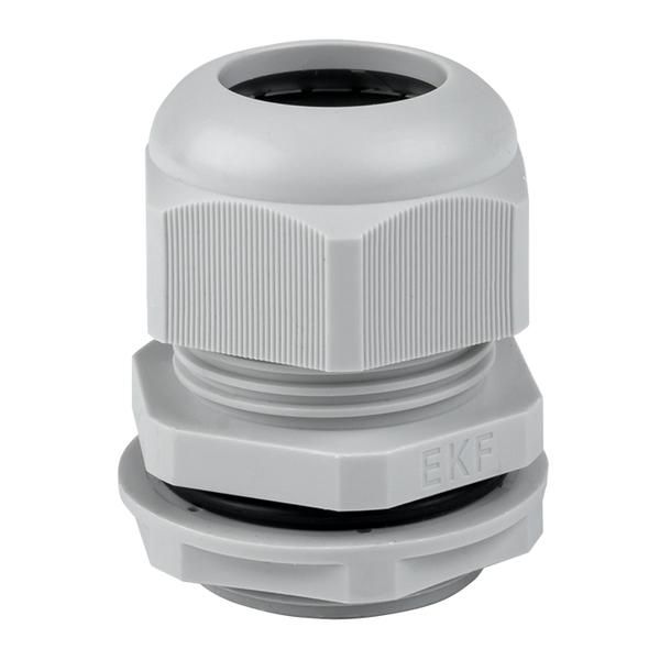 Сальник PG29 d18-25мм (d отверст. 36мм) IP54 PROxima EKF plc-pg-29-r