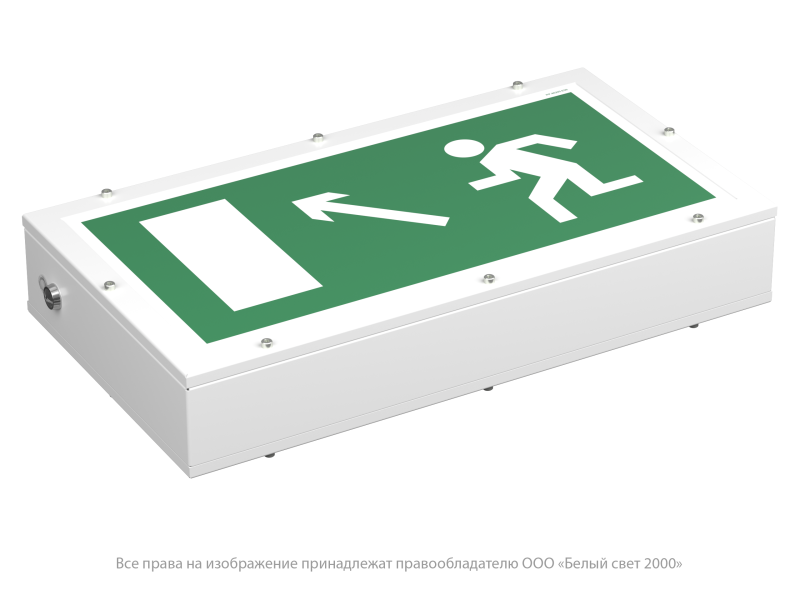 Указатель световой BS-FLAGMAN-53-S1-INEXI2 автономный Белый свет a16947