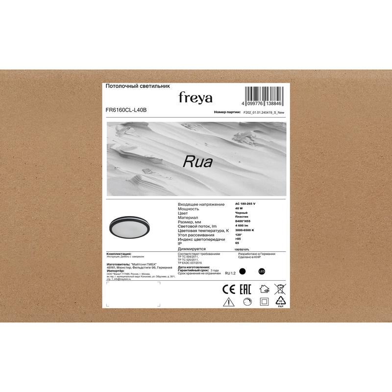 Светильник Rua 40Вт IP65 потолочн. Freya FR6160CL-L40B