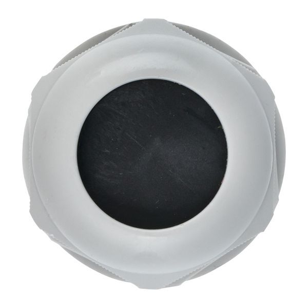 Сальник PG29 d18-25мм (d отверст. 36мм) IP54 PROxima EKF plc-pg-29-r