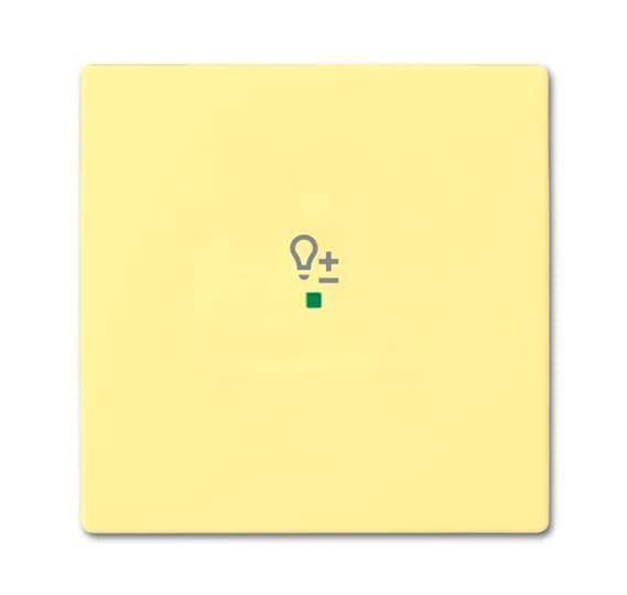 Клавиша одинарн. светорег. антрацит ABB 2CKA006220A0149